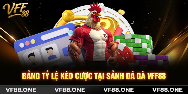 Bảng tỷ lệ kèo cược tại sảnh đá gà VFF88