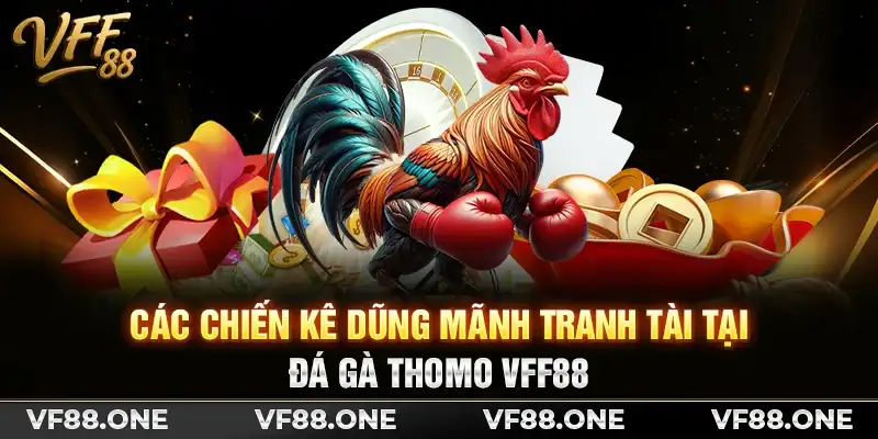 Các chiến kê dũng mãnh tranh tài tại đá gà Thomo VFF88