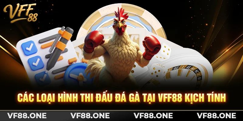Các loại hình thi đấu đá gà tại VFF88 kịch tính