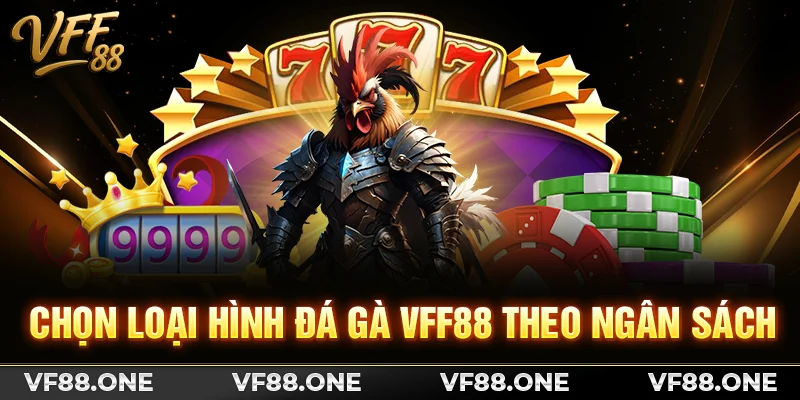Chọn loại hình đá gà VFF88 theo ngân sách