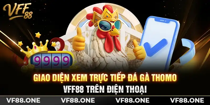 Giao diện xem trên link trực tiếp đá gà Thomo VFF88 trên điện thoại