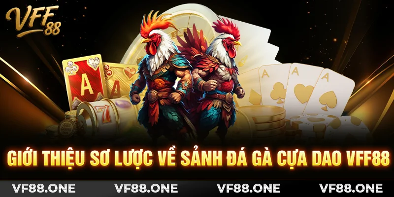 Giới thiệu sơ lược về sảnh đá gà cựa dao VFF88
