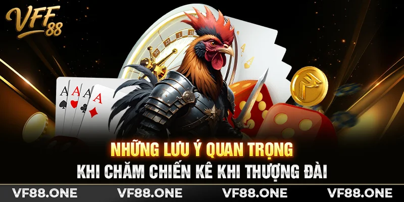 Những lưu ý quan trọng khi chăm chiến kê khi thượng đài