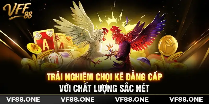 Trải nghiệm chọi kê đẳng cấp với chất lượng sắc nét