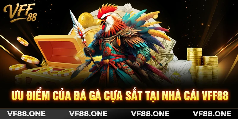 Ưu điểm của đá gà cựa sắt tại nhà cái VFF88